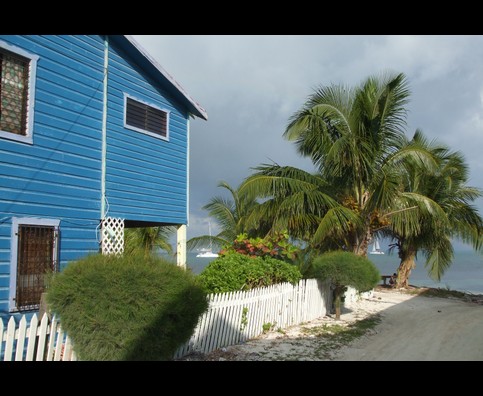 Belize Caye Caulker 8