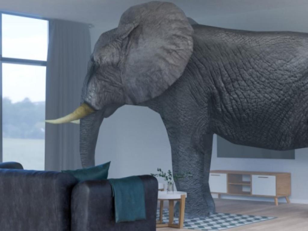 Addressing The Elephant in the Room 2023 UpNext