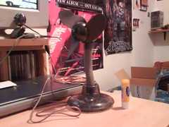 heat deterrant system