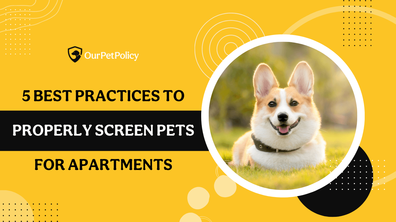 How to properly screen pets for apartments