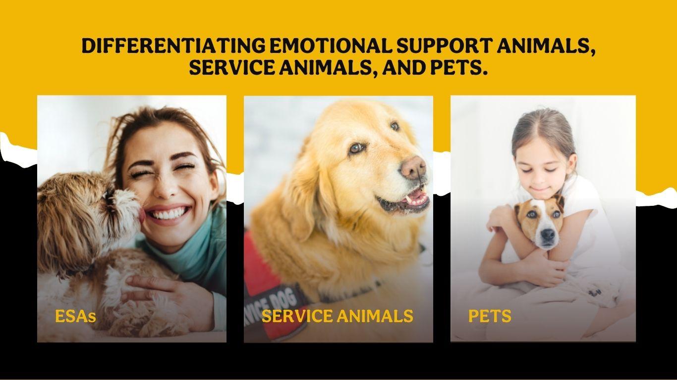 Differentiating ESA, service animals, and pets