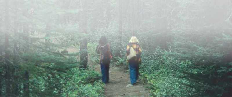 Two women hiking on dirt path in evergreen forest