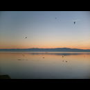 Ohrid Sunset 9
