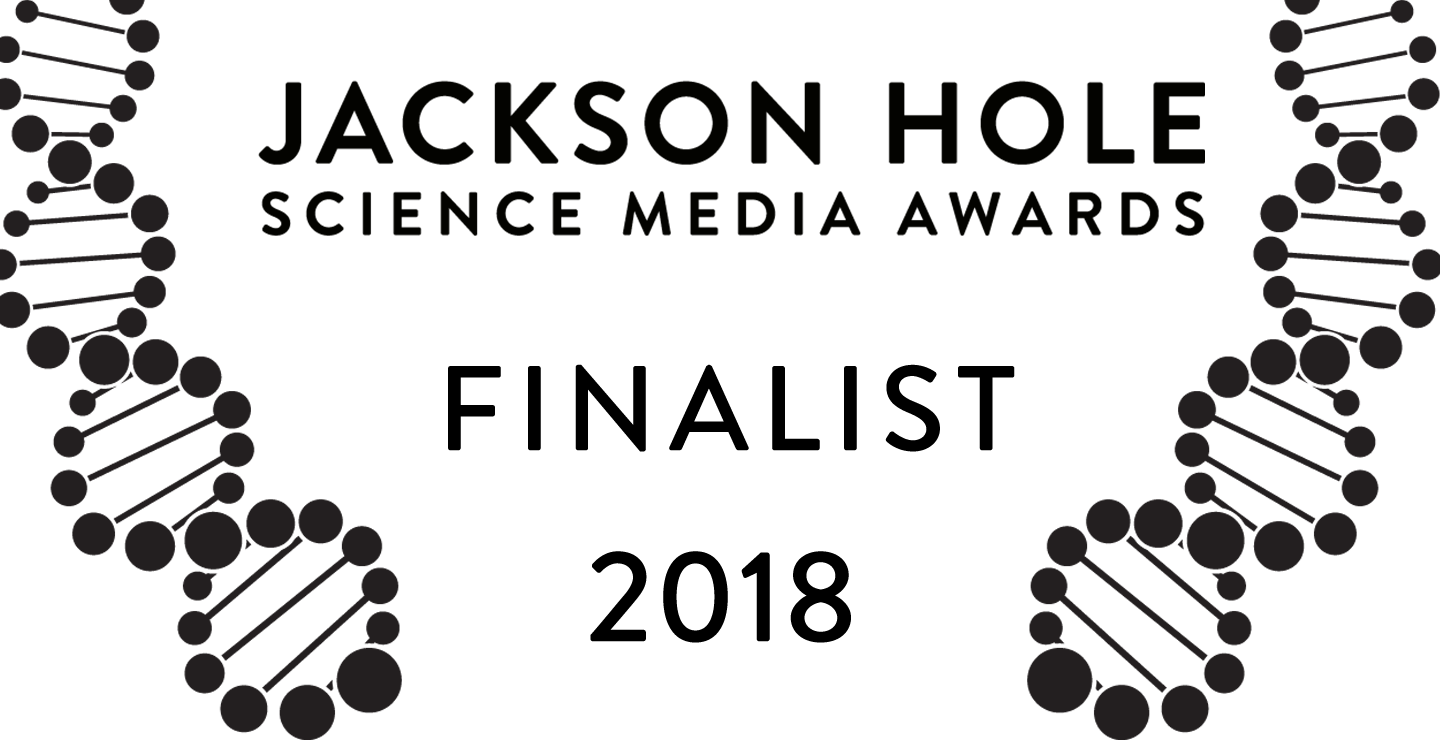 Logo for .context.award