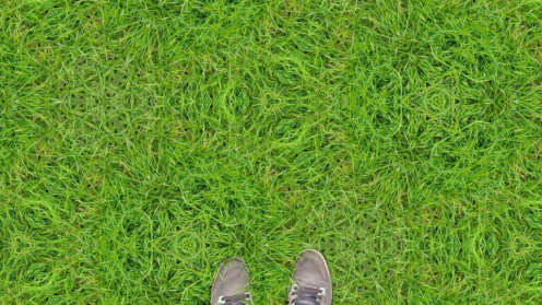 wallpaper symmetry patters appearing on grass