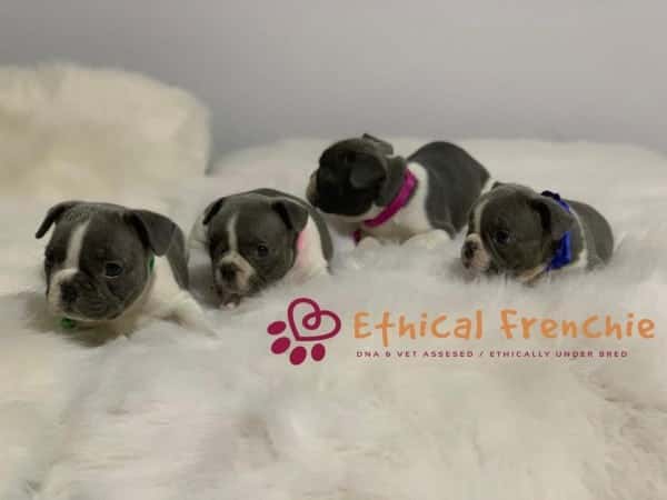 Ee Are Getting Sooo Big