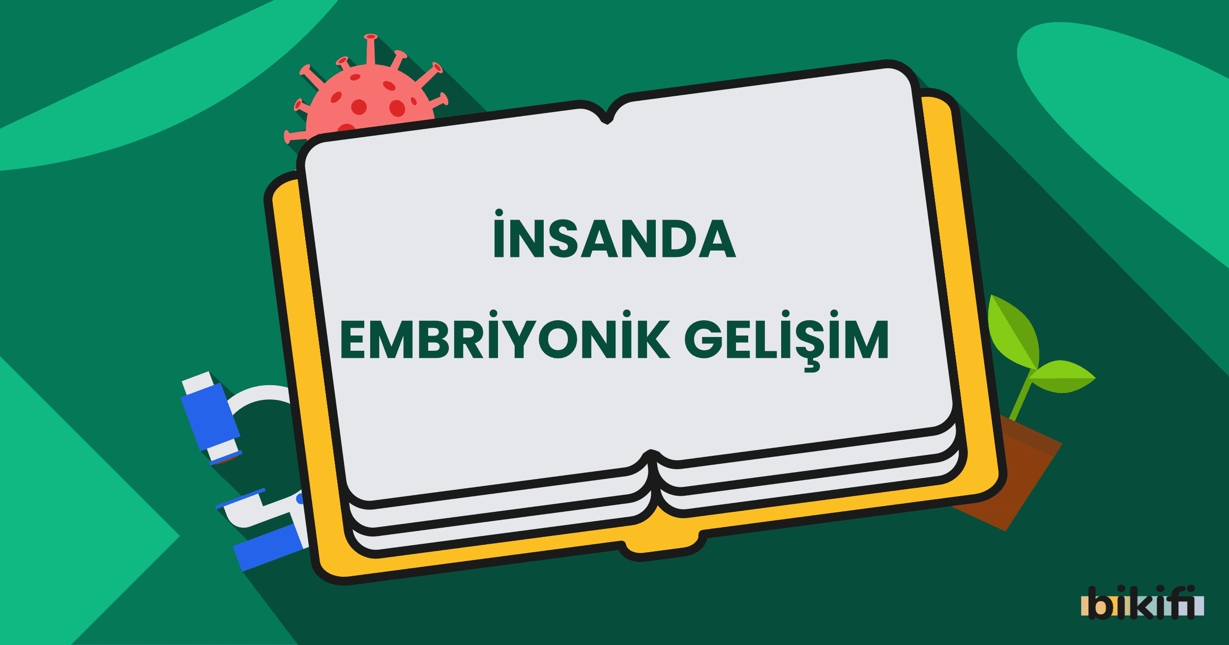 İnsanlarda Embriyonik Gelişim