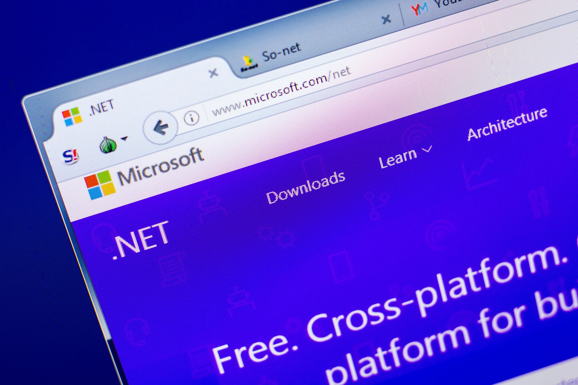 What Is .NET and Why You Should Be Using It to Grow Your Business?