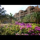 Jordan Aqaba Hotels 2