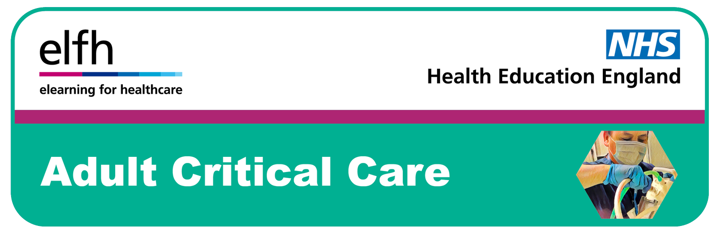 Adult Critical Care Programme
