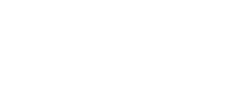 zubaz logo