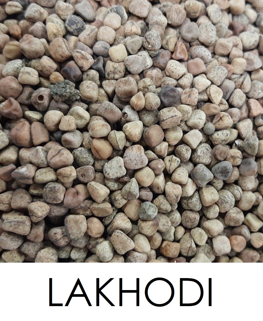 Lakhodi