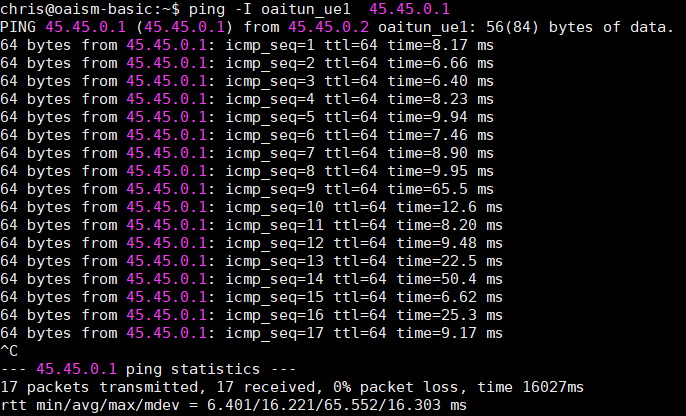 PING Tests From UE to PGW