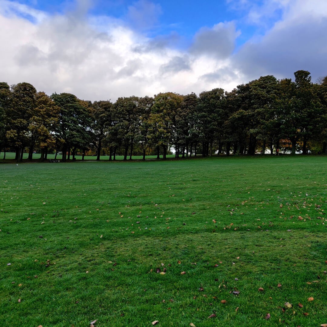 Woodhouse Moor/Hype picnic field