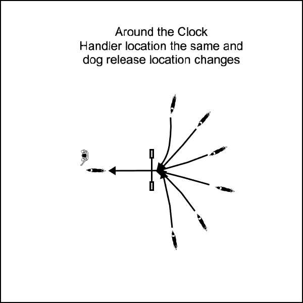 Recalling the dog over a jump with dog starting location arranged around the clock