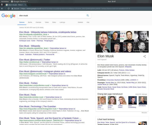 Elon musk search result