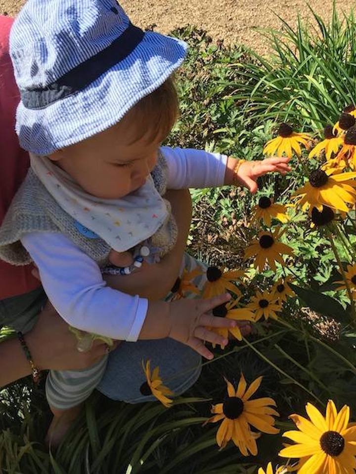 Touching sunflowers