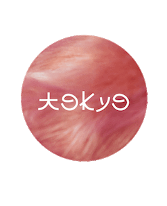 Destination tokyo
