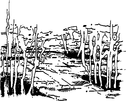 gases rise out of big cracks in the ground.