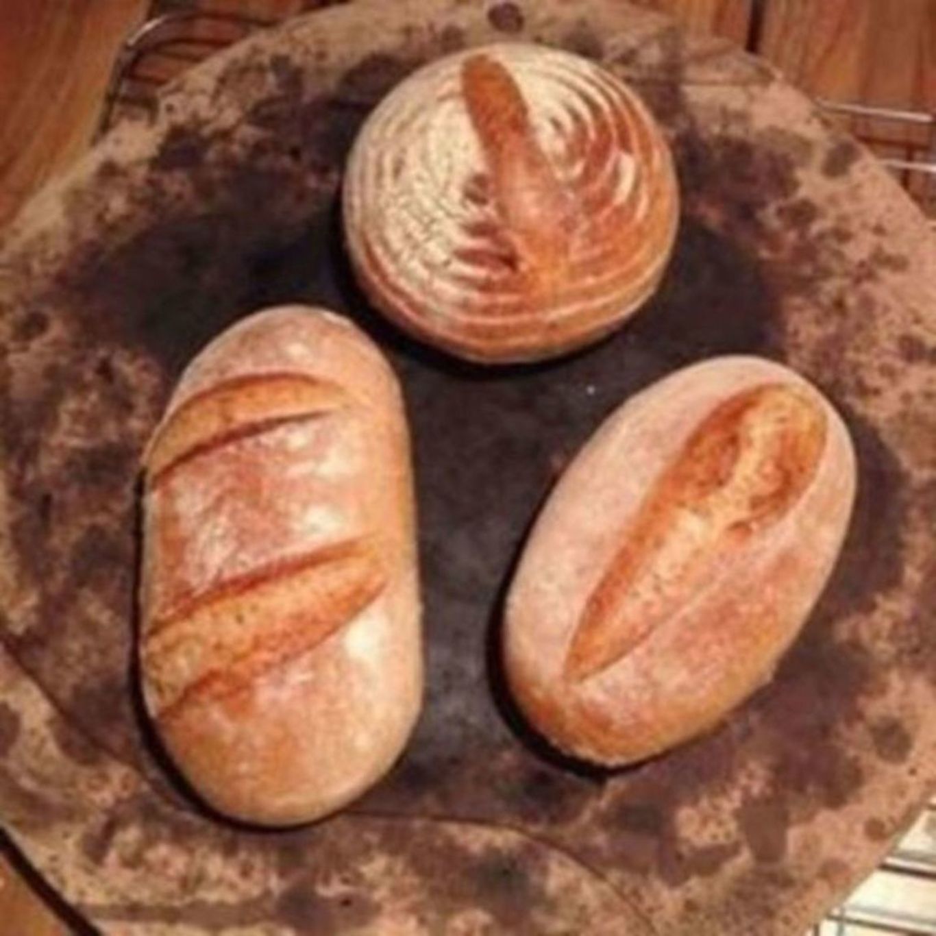 Mini sourdoughs