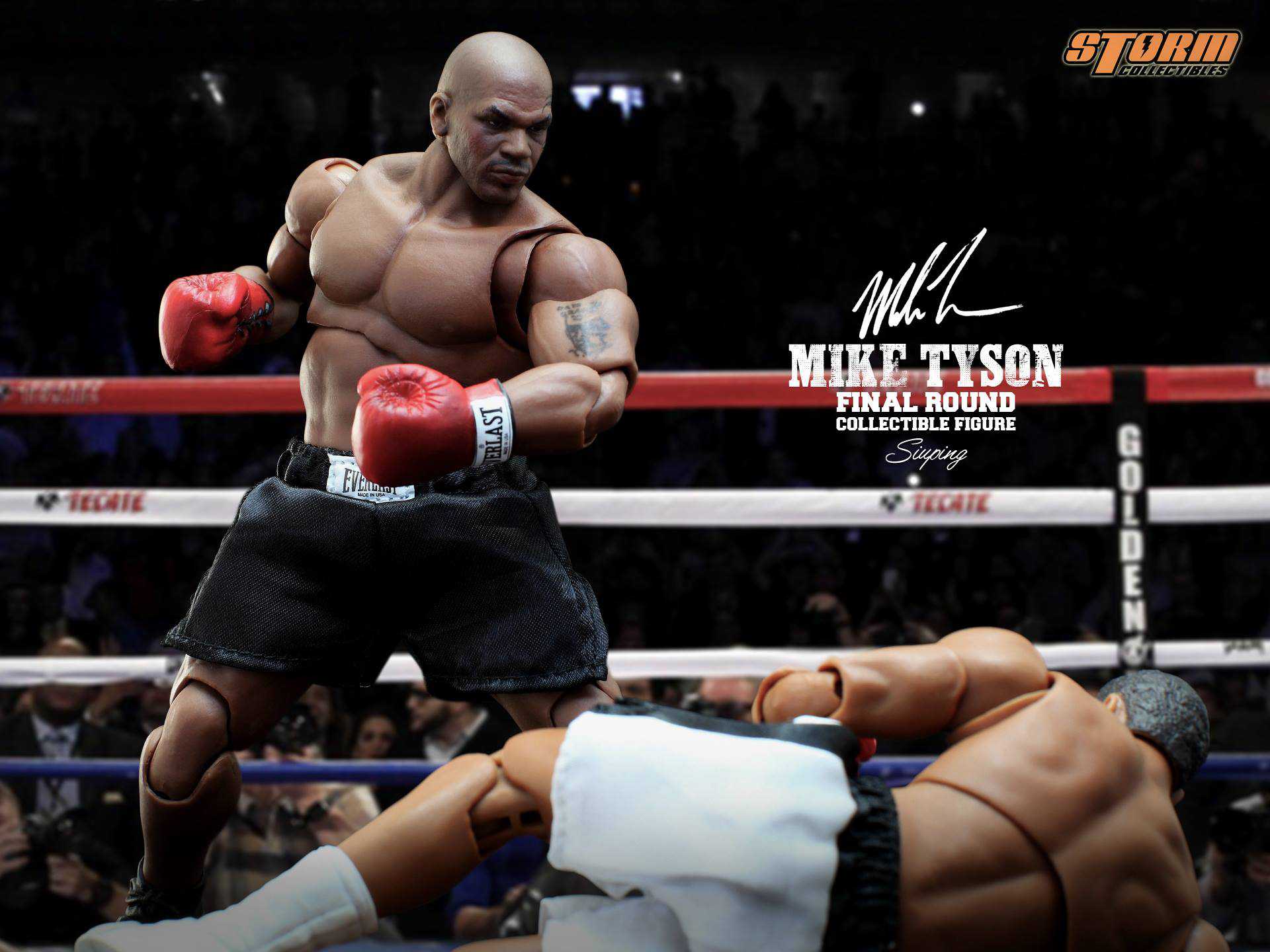 Mike Tyson Final Round