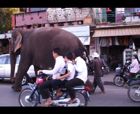 Cambodia Phnom Penh 1