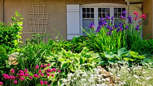 Gardening services for front yard and backyard of residential homes and commercial businesses.