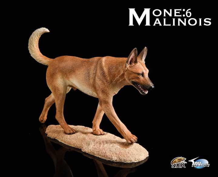 Belgian Malinois With John Wick