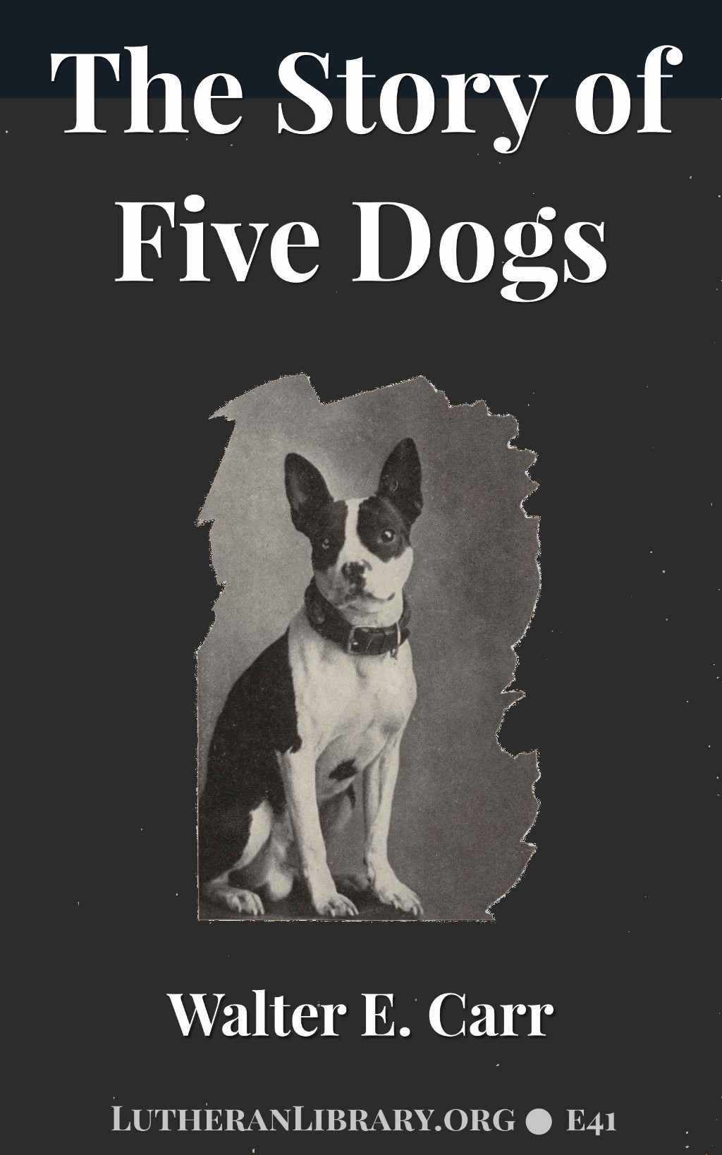 The Story of Five Dogs by Walter E. Carr