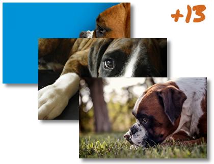 Boxer theme pack