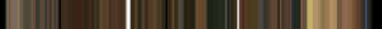 A barcode of colors from the vid Because