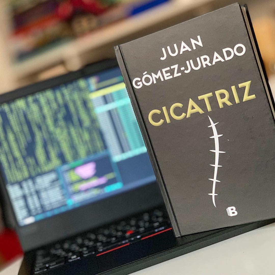 Imagen de Reseña de "Cicatriz", de Juan Gómez-Jurado