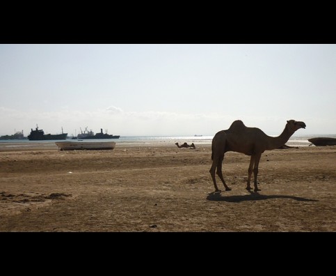 Somalia Berbera Beach 7