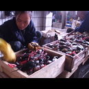 China Fish Markets 20