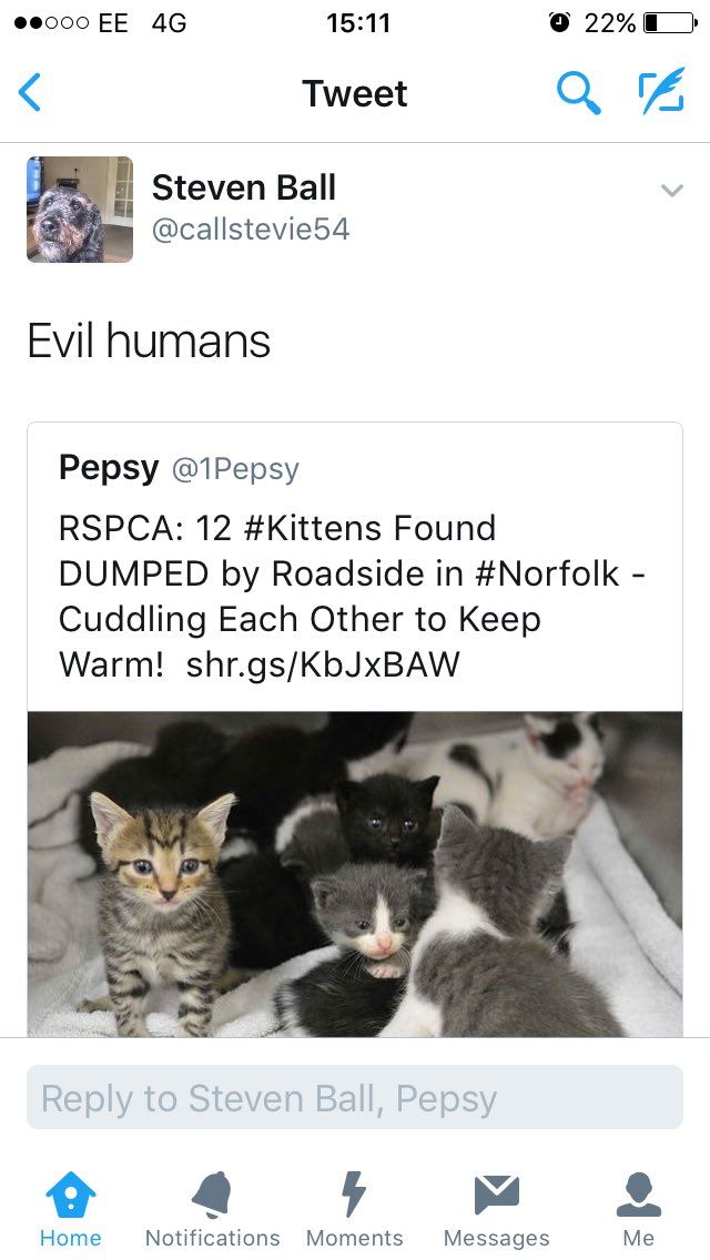 oh my god twitter doesn’t include alt text from images in their API
