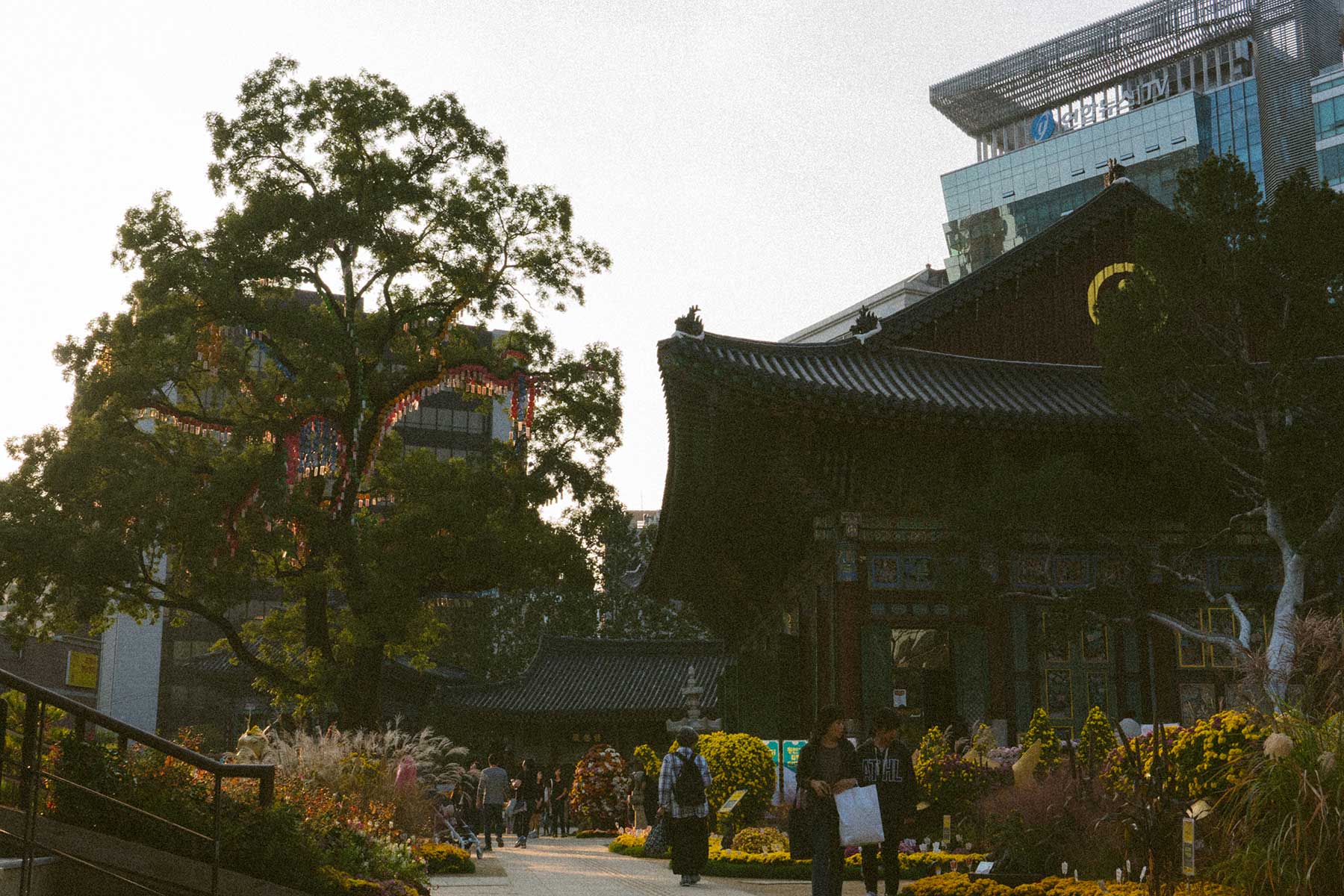Landscape photo of Korean temple - Jogyesa Temple