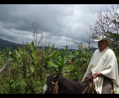 Colombia Sanagustin Horses 19