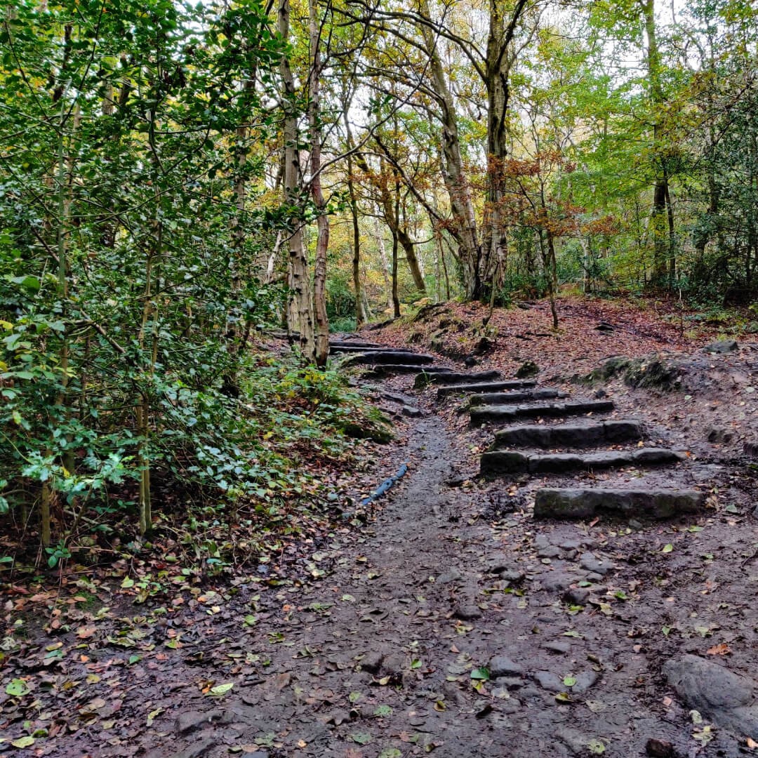 Adel woods stone steps