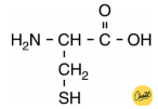 aminozuur 