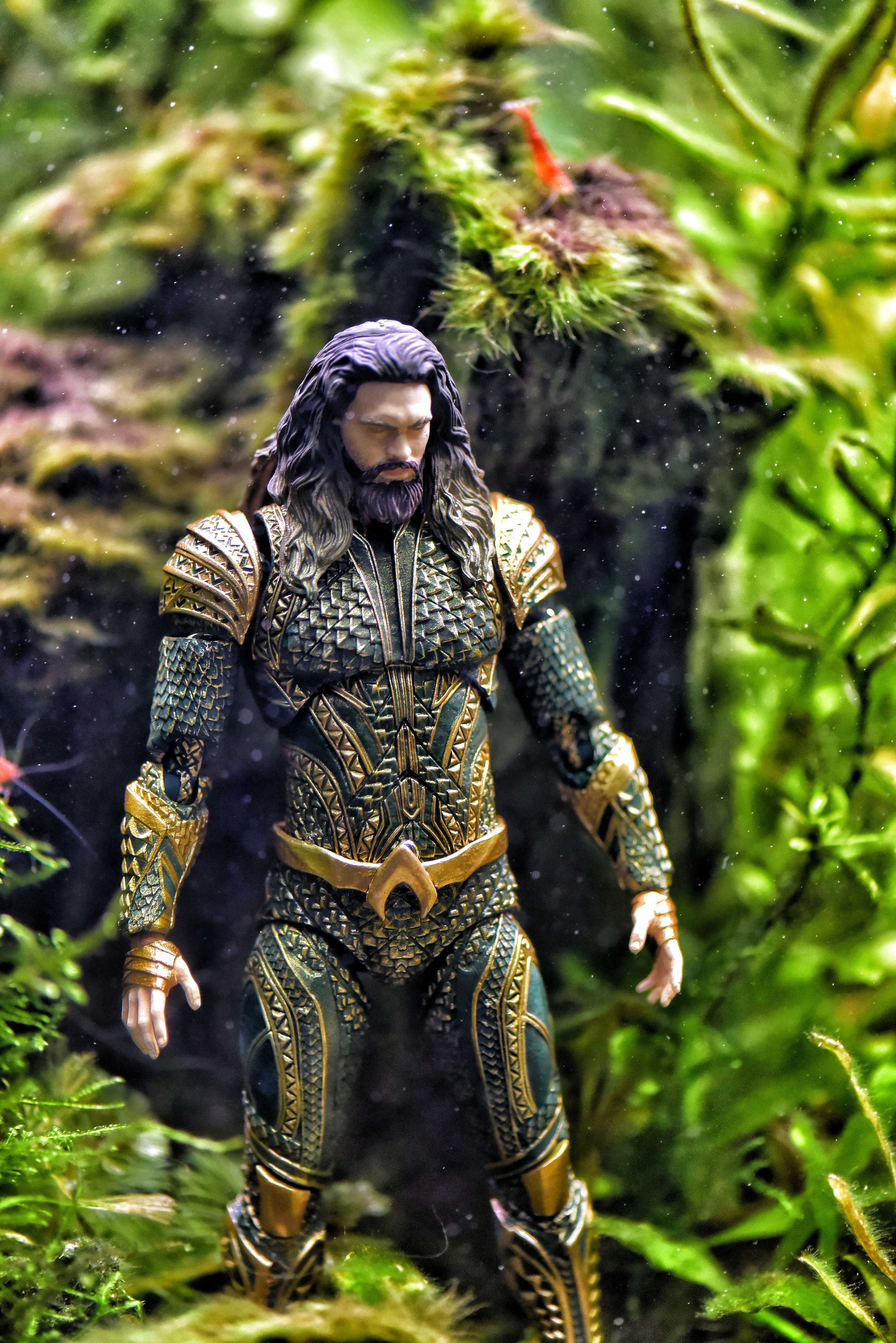 Aquaman In Fish Tank