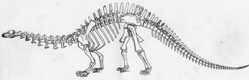 Big Dinosaur Sketch