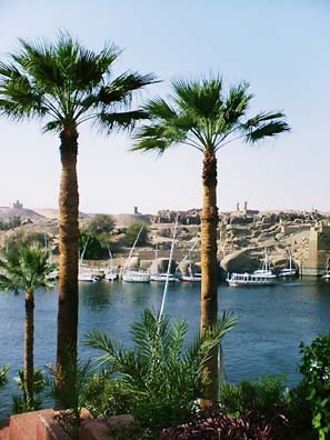 Aswan 11