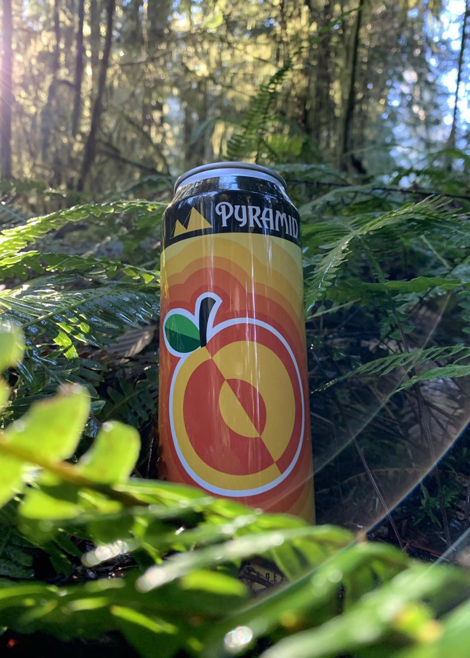A can of Pyramid Apricot Ale sits nestled amongst ferms on a forest floor