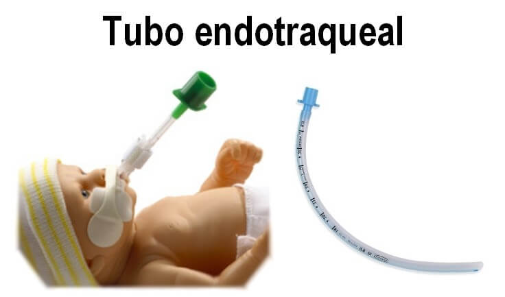 Tubo-endotraqueal