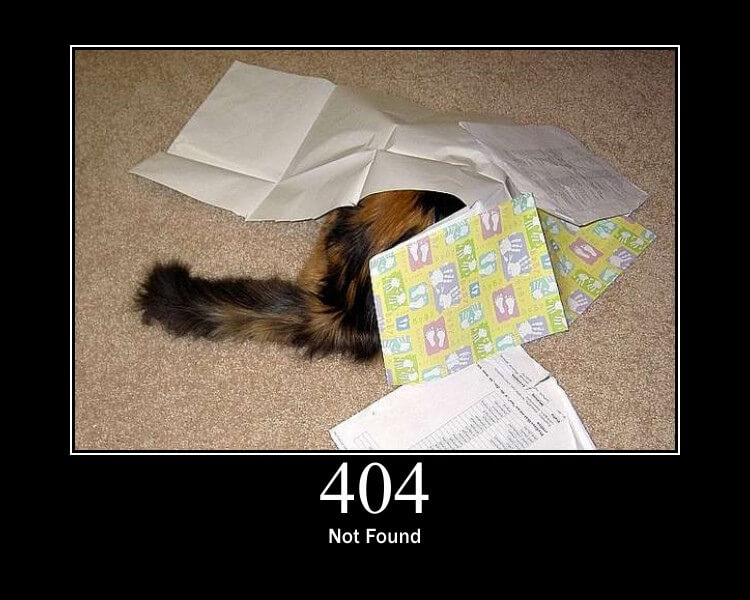 A cat hiding under paper sheets.