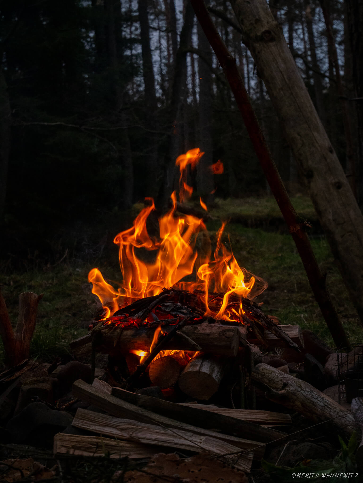 A campfire in the forest. The burning wood glows from the orange flame.