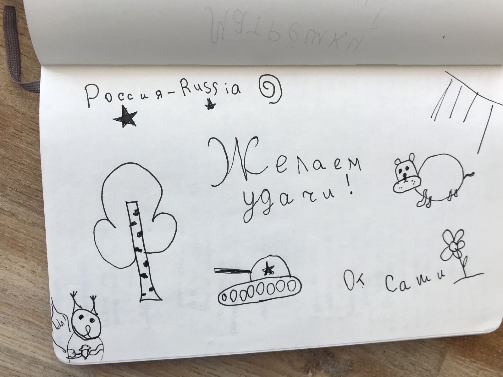 Sasha drew whatever he wanted in my journal.