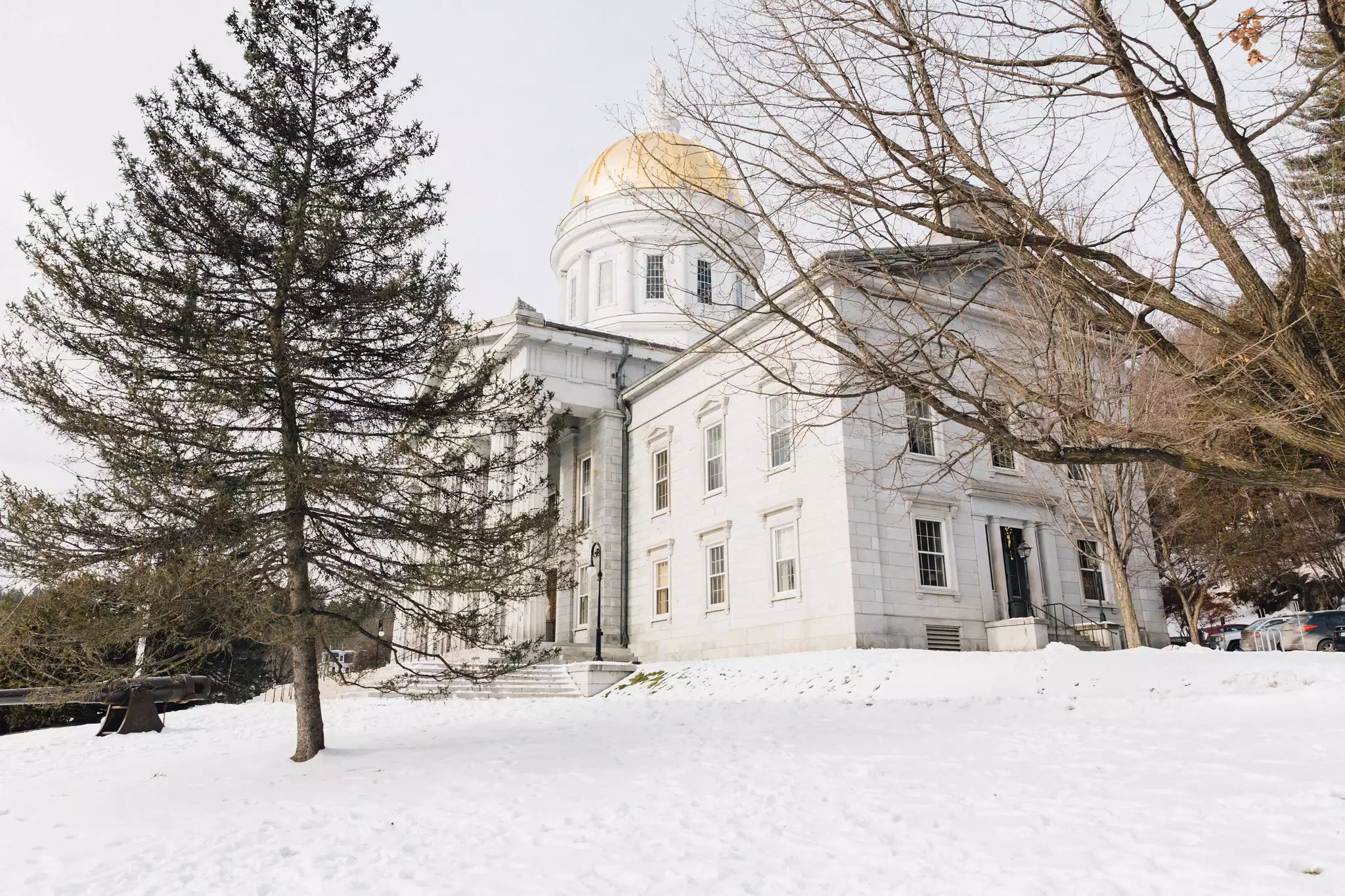 Vermont State House #3