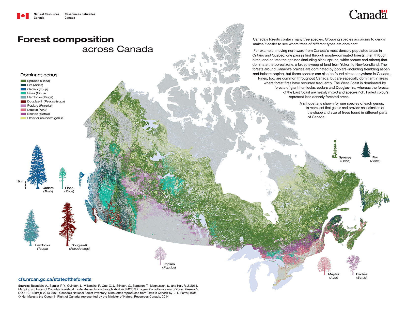 Tree maps