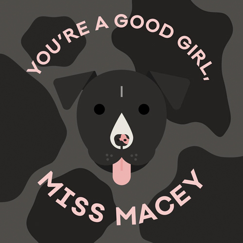 An illustration of my friend's dog's face, surrounded by you're a good girl, Miss Macey